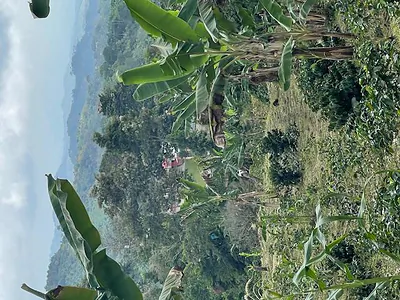 Colombia El Hatillo, Mariquita, Tol, Co
