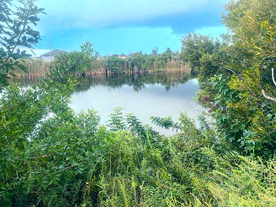 3117 NW 9TH ST Cape Coral FL