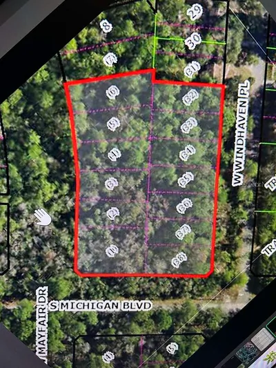 3411 S MICHIGAN BOULEVARD Homosassa FL