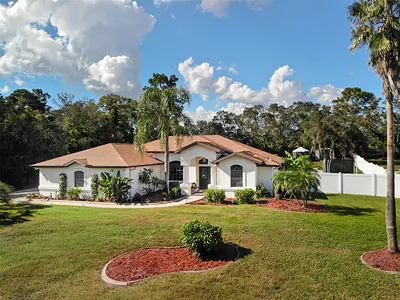 12295 COMSTOCK STREET Spring Hill FL