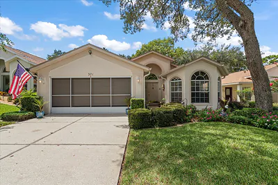 371 QUANE AVENUE Spring Hill FL