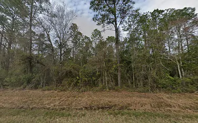 4300 NANCY STREET Hastings FL