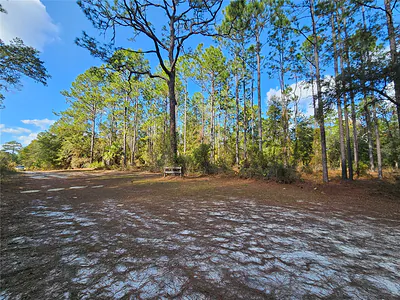 10932 SE 32ND LANE Morriston FL