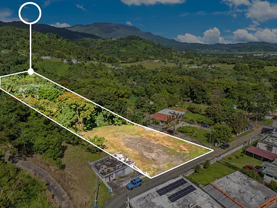 BO PEÑA POBRE SOLAR #1 CARR 31 Naguabo PR