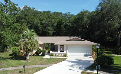 3405 DOVE HOLLOW COURT Palm Harbor FL