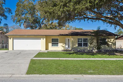 1255 FOGGY RIDGE PARKWAY Lutz FL