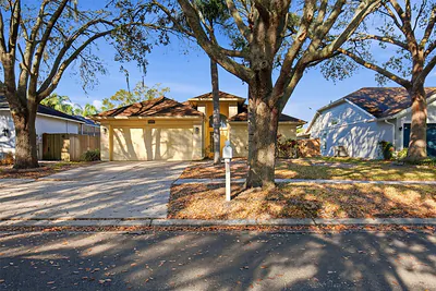 16502 LAKE HEATHER DRIVE Tampa FL