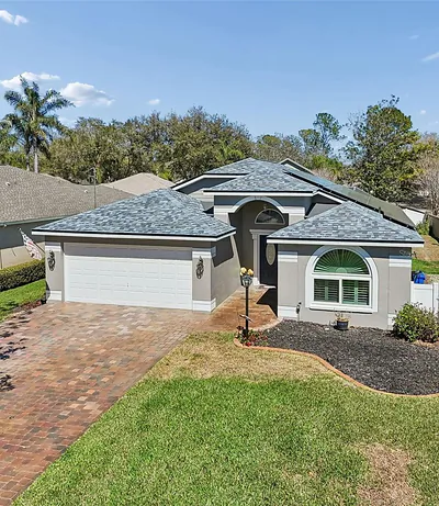 3301 BLACK GUM COURT Tampa FL