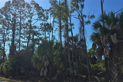 Lot 29 / Block 254 ALLEGHENY LANE North Port FL