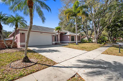 3040 WINDRIDGE OAKS DRIVE Palm Harbor FL