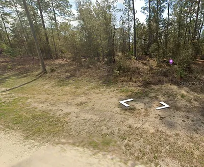 SW 28 LANE Ocala FL