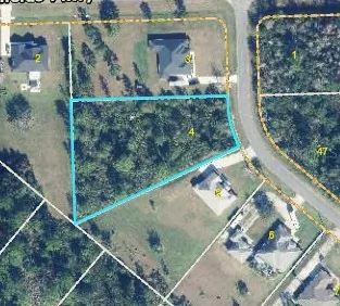 18118 ROBERTSON STREET Orlando FL