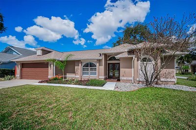 3097 ROBINWOOD LANE Palm Harbor FL