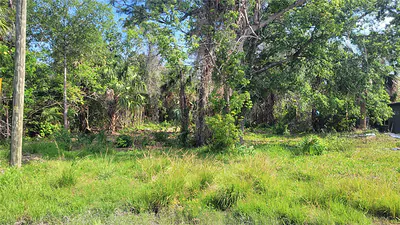 Lot 40 NEEDLES DRIVE Hudson FL