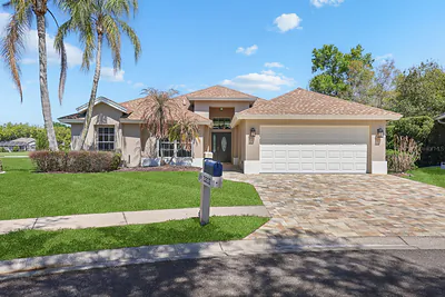 3202 FOX SQUIRREL LANE Valrico FL