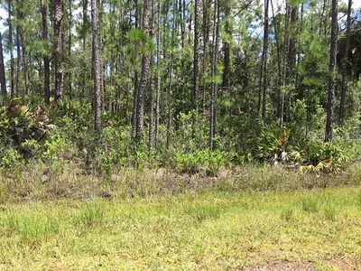 808 ORCHID DRIVE Indian Lake Estates FL