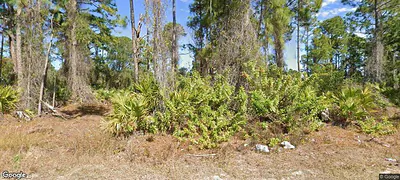 1019 Macy ST E LEHIGH ACRES FL