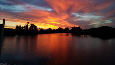 1019 NW 42nd PL CAPE CORAL FL