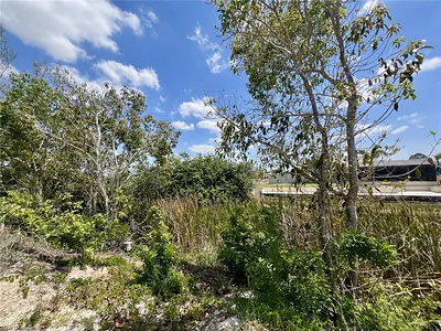 1031 NW 20th PL CAPE CORAL FL