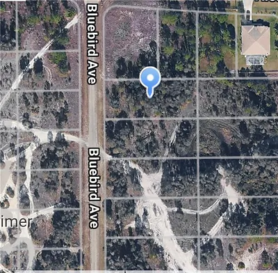 717 Bluebird AVE LEHIGH ACRES FL