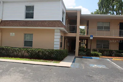 4725 JOSEPH COURT 233 #233 Tampa FL