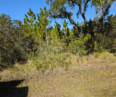 0 TROPICANA DRIVE Indian Lake Estates FL