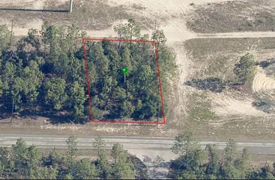 2905 W SHARPES DRIVE Citrus Springs FL