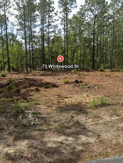 73 WHITEWOOD STREET Homosassa FL
