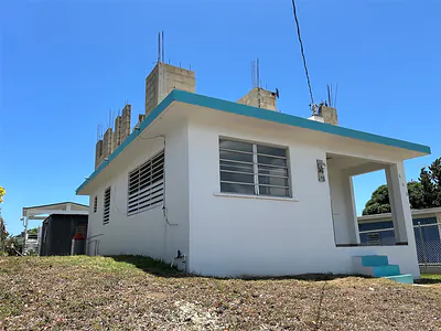 448 GLADIOLAS Vieques PR