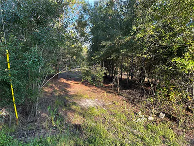 8338 HARDSTONE DRIVE Webster FL