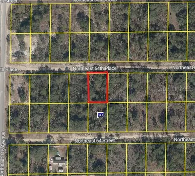 Blk 46 Lot 5 NE 64TH PLACE Williston FL