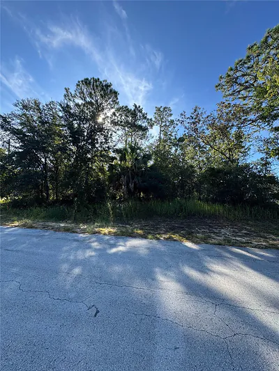 TBD HEMLOCK LOOP DRIVE Ocala FL