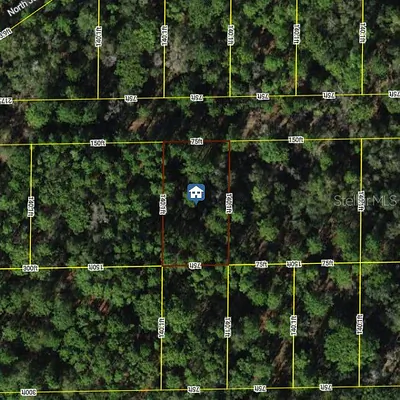 7334 W CONTENTMENT LANE Dunnellon FL