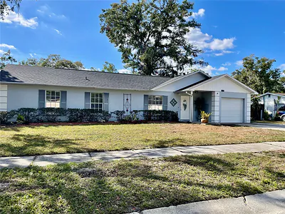 19114 ALICE CIRCLE Lutz FL