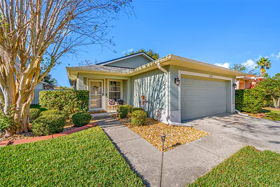 21351 MORNING MIST WAY Land O Lakes FL