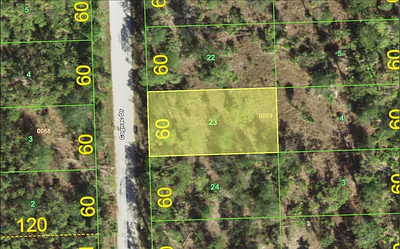 12332 COGNAC DRIVE Punta Gorda FL