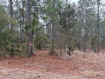 NW TERRAPIN DRIVE Dunnellon FL
