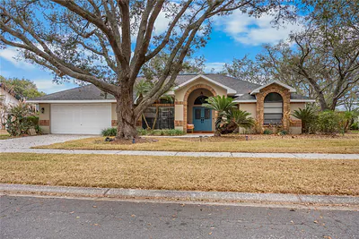 1619 PALACE COURT Valrico FL