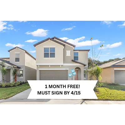 5245 WHITE CHICORY DRIVE Apollo Beach FL