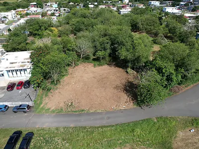 BO GUAYABO Isabela PR