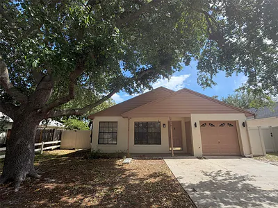 3781 LAKE SHORE DRIVE Palm Harbor FL