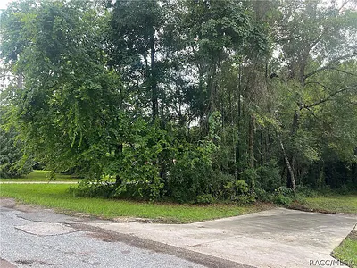178 S SCHOOL AVENUE Lecanto FL