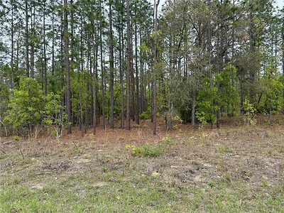 SW 125TH COURT RD Dunnellon FL