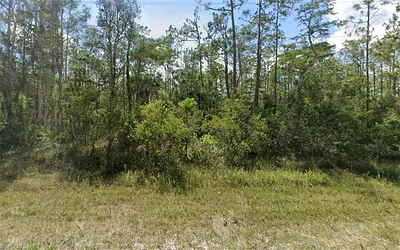1911 Weller AVE LEHIGH ACRES FL