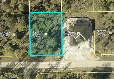1229 Racoon ST E LEHIGH ACRES FL