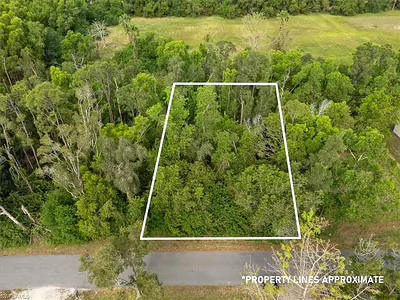 19826 Bristol RD FORT MYERS FL
