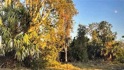 3515 27th ST SW LEHIGH ACRES FL