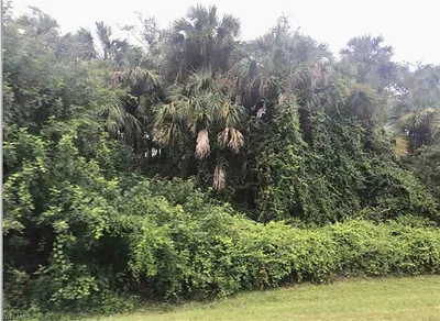 XXX 14th AVE NW NAPLES FL