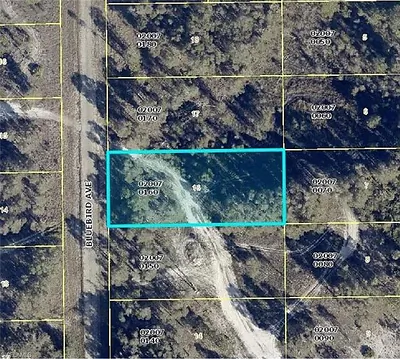 721 Bluebird AVE LEHIGH ACRES FL