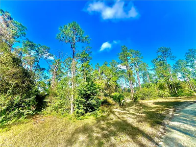 124 Nassau AVE LEHIGH ACRES FL